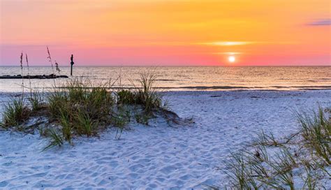 Dunedin is the Hidden Florida Getaway That Should Be on Your Radar