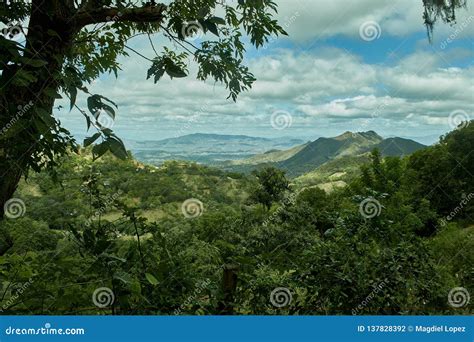 Incredible Landscape of Jungle-covered Mountains in Nicaragua Stock ...