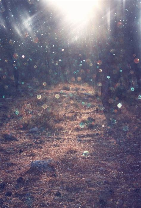 Hellodecor X Ft Blurred Bokeh Wild Woods Portraits Photography