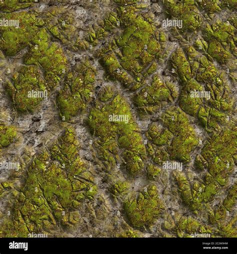 Mossy Stone Seamless Tileable Texture Stock Photo Alamy