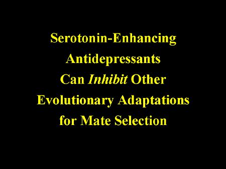 Sex Sexuality And Serotonin