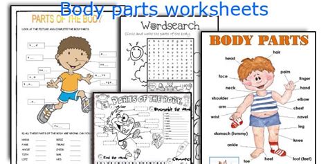 Body Parts Worksheets 567 Hot Sex Picture