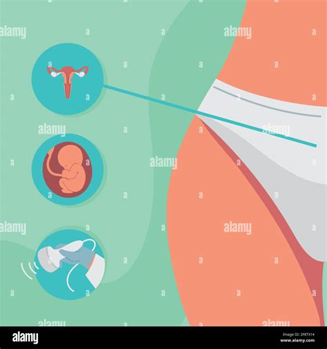 gynecology female anatomy Stock Vector Image & Art - Alamy