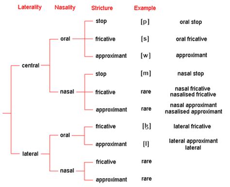 Manner Of Articulation Chart