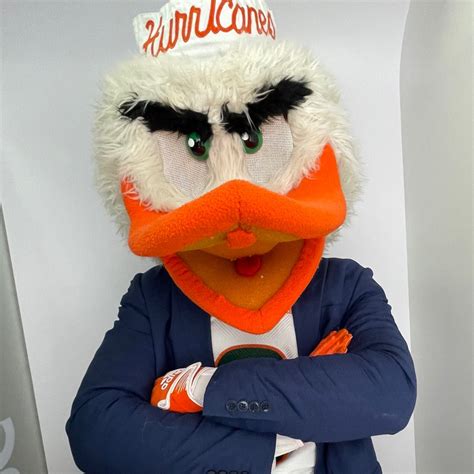 Sebastian Ibis - Mascot - University of Miami | LinkedIn