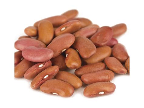 Light Red Kidney Beans 50lb The Grain Mill Co Op Of Wake Forest