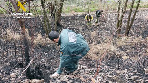 Detenido El Presunto Autor De Seis Incendios Forestales En Una Zona