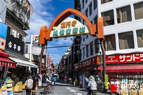 街てく。 今日も、ぶらっと商店街 — 高円寺純情商店街