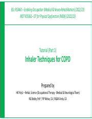 Mastering Inhaler Techniques For COPD Essential Skills For OT Course