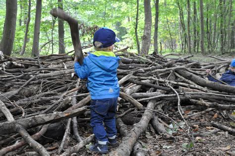 9 Spiel und Beschäftigungsideen mit Kindern im Wald nordhessenmami de