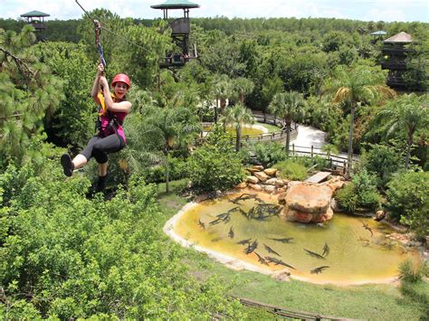 17 Best Things To Do In Orlando Beyond Theme Parks