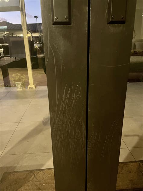 How Can I Stop My Dog From Scratching The Door