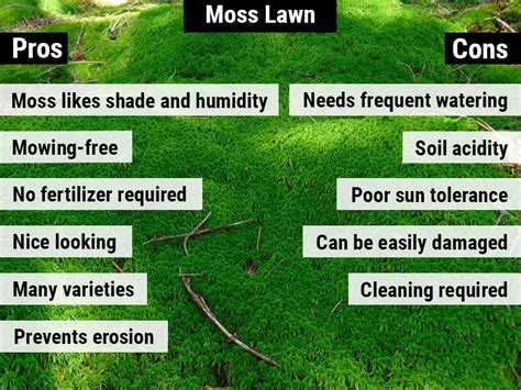 Moss Lawn Pros And Cons Artofit