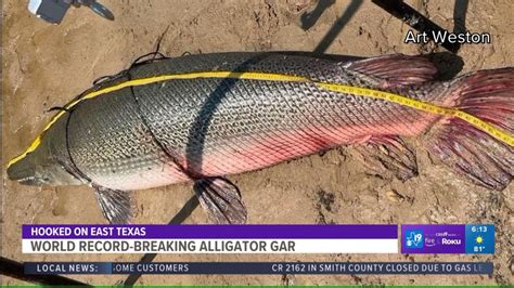 Watch Angler S 283 Pound Alligator Gar Breaks State World Records In