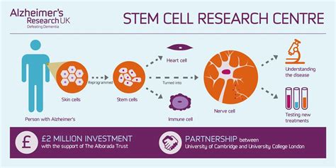 #StemCells #StemCell #StemCellTherapy #StemCellResearch #Science #Medicine #CordBlood # ...