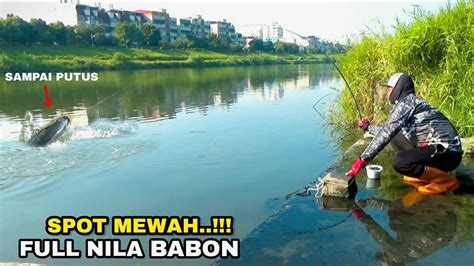 Mancing Ganas Nya Bukan Main Ikan Nila Di Spot Ini Senar Sampei Putus