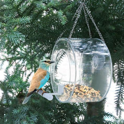 Bird Feeder Outdoor | Acrylic Bird Cage