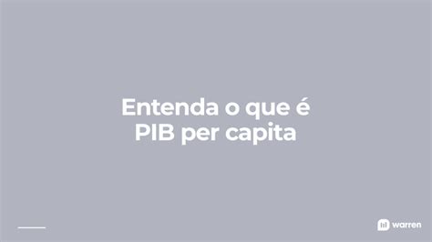 Pib Per Capita O Que É - PIB: o que é, como é medido e qual é a trajetória do Produto Interno ...
