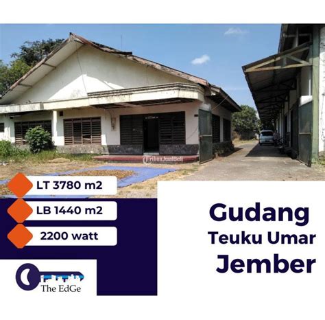 Disewakan Gudang Teuku Umar Multiple Room Lokasi Strategis Di Jember