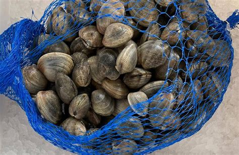 PNW Manila Clams (Fresh, Local) | Lummi Seafood Market