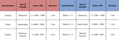 Periodization Techniques Revisited Improved Strength And Size Gains W