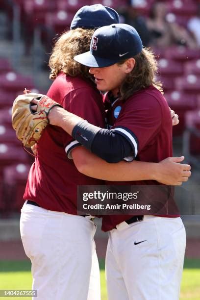 Connecticut State Bird Photos And Premium High Res Pictures Getty Images