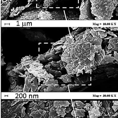 Tem Images At Two Di Ff Erent Magni Fi Cations Of The Platelets Of