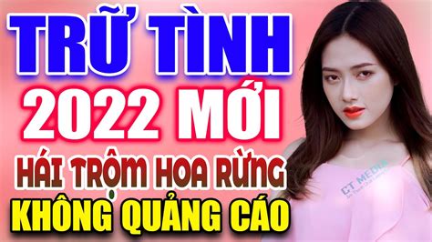 Hái Trộm Hoa Rừng Hoa Tím Người Xưa LK Rumba Bolero Trữ Tình Đặc