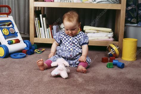 object permanence    stock image  science photo