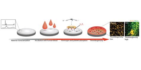 Palladium Based Metallic Glass With High Thrombogenic Resistance