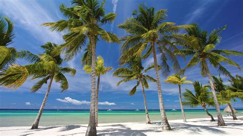 Private Panglao Island Day Tour