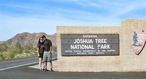 One Day In Joshua Tree National Park Guide