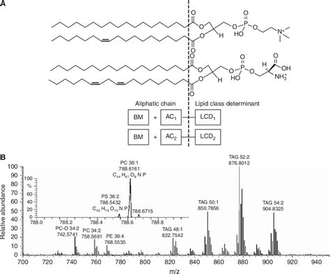 Figure From Shotgun Lipidomics On High Resolution Mass Spectrometers