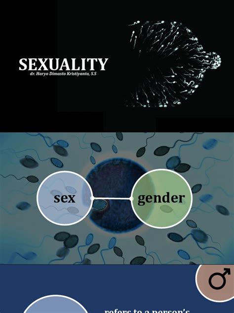 Understanding Human Sexuality A Comprehensive Look At Key Concepts And