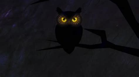 owl sitting in the dark. Owl eyes glow i... | Stock Video | Pond5