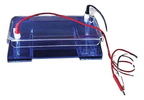 Aparato De Electroforesis Horizontal De Agarosa Dycp A Meses Sin