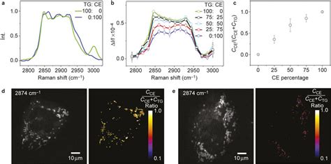 Compositional Analysis Of Lipid Droplets In Live Cancer Cells A