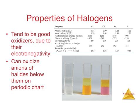 Properties Of Halogens Gas At Lora Maynes Blog