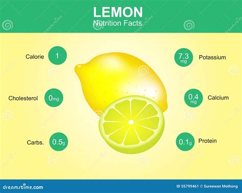 Lemon Nutrition Facts, Lemon Fruit with Information, Lemon Vector Stock ...