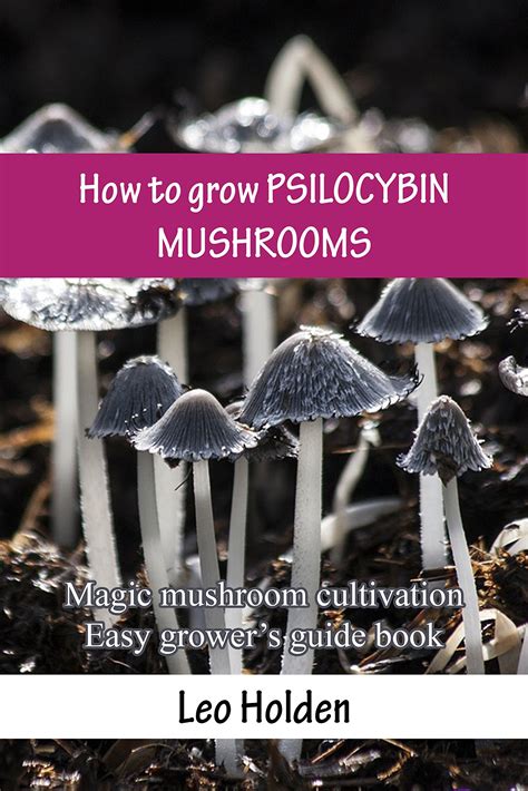 Buy How To Grow PSILOCYBIN MUSHROOMS Magic Mushroom Cultivation Easy