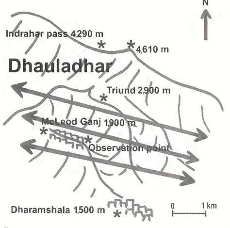 Figure From Migration Of Steppe Eagles Aquila Nipalensis And Other