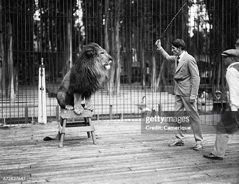 Lion Tamer Photos And Premium High Res Pictures Getty Images