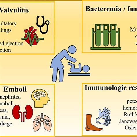 Clinical Findings Of Endocarditis Download Scientific Diagram