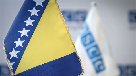 OSCE oštro osudio verbalni napad na članicu Centralne izborne komisije BiH