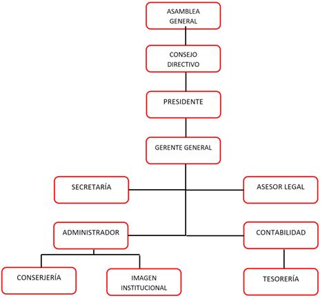 Organigrama De Una Muebleria Ajore