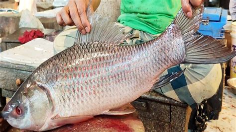 Big Katla Fish Cutting Skills In Fish Market Fish Cutting Skills