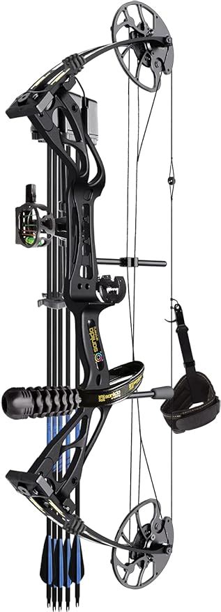 Sanlida Archery Dragon X Rth Compound Bow Package For Adults And Teens