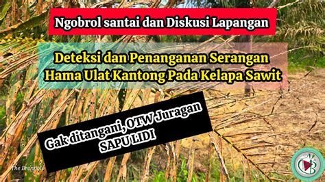 Kunjungan Lapangan Deteksi Dan Penanganan Serangan Hama Ulat Kantong