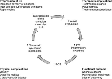 The Neurobiology Of Bipolar Disorder An Integrated Approach