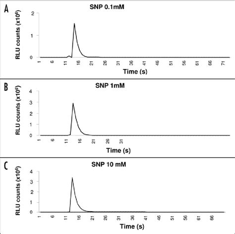 Dose Dependency Of The Ca 2 Transient Induced By The NO Donor SNP SNP